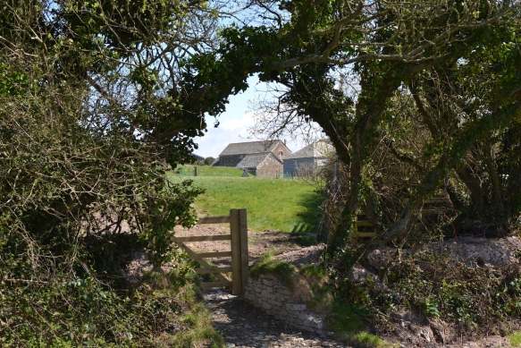 Honeymoons Cornwall3