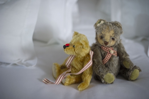 Honeymoons In Devon 07