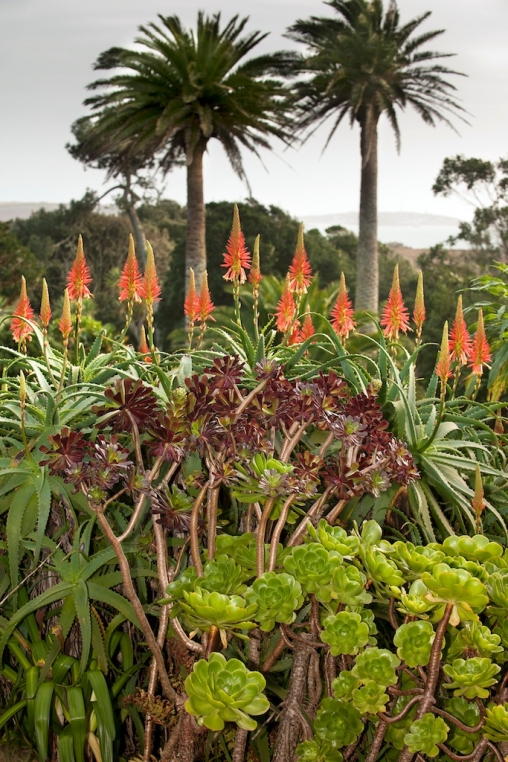 Honeymoons Isles Of Scilly15