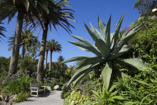 Honeymoons Isles Of Scilly3