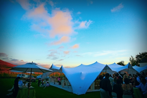 Marquee Weddings Cornwall2