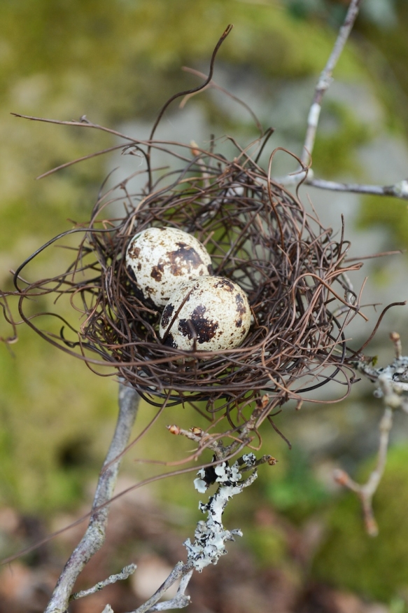 Natural Wedding Devon9