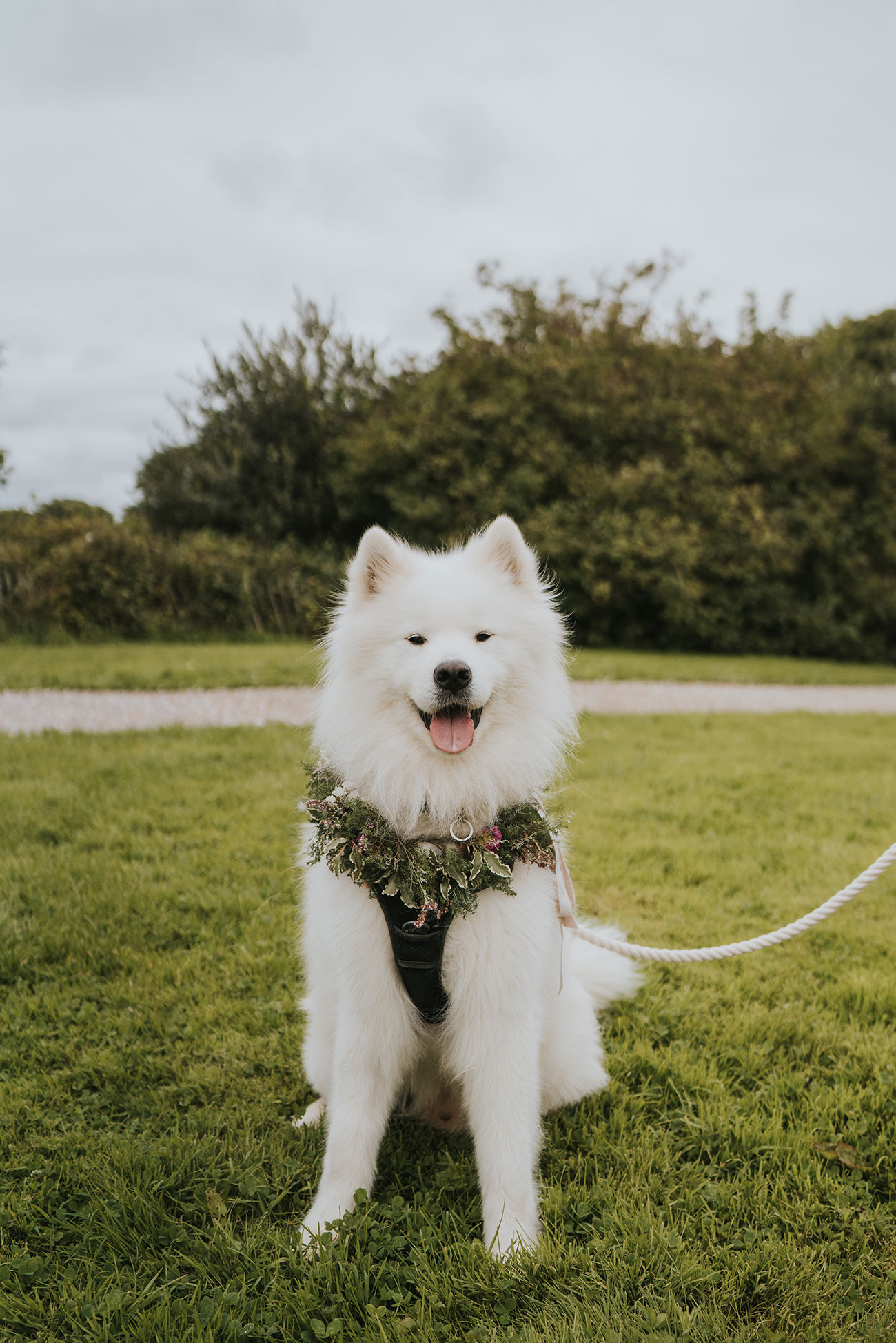 Real Wedding Nancarrow Farm Cornwall Flowers Bride Groom Reception Food Drink10