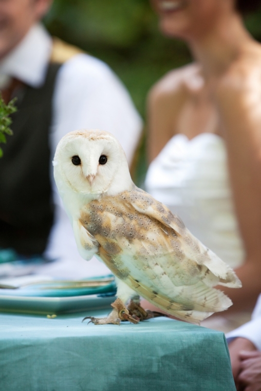 Rustic Woodland Wedding Devon13