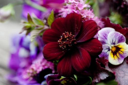 Rustic Woodland Wedding Devon22