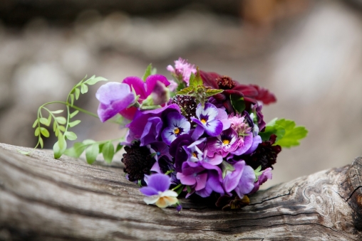 Rustic Woodland Wedding Devon23