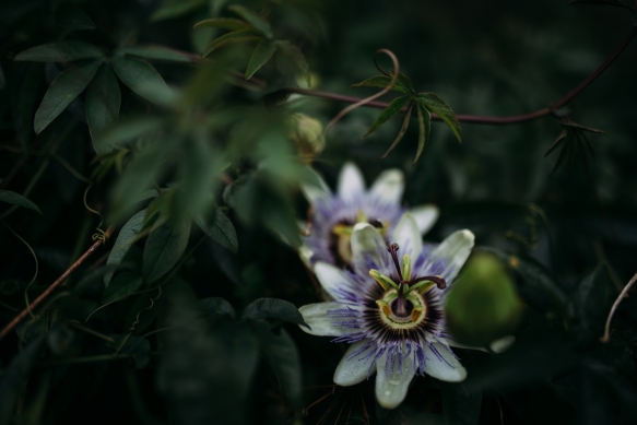 Rustic Woodland Wedding Style4