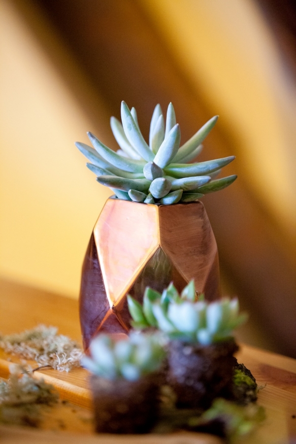 Scandi Style Wedding15