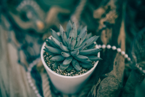 Seaside Wedding Cornwall6