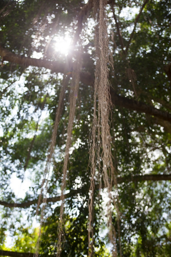 Singapore Honeymoon6