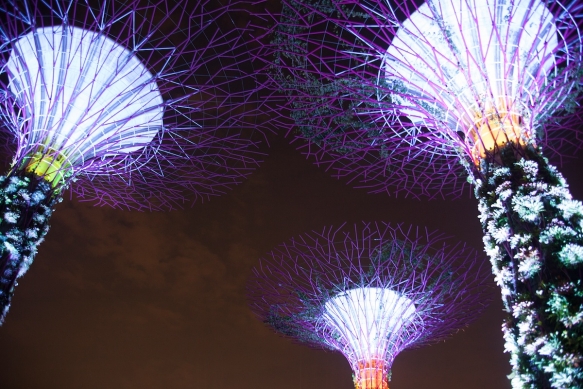 Singapore Honeymoon8