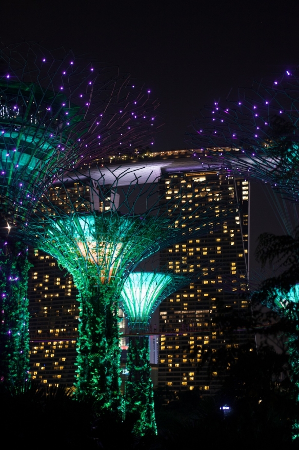 Singapore Honeymoon9