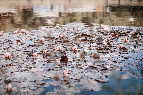 Summer Wedding Style Hendra Barns22