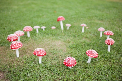 Themed Wedding Cornwall2