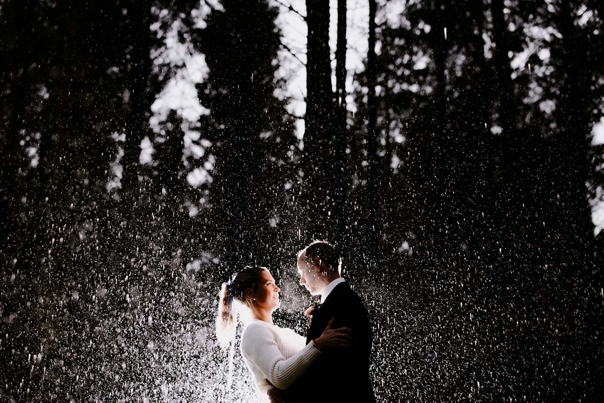 Thomas Frost Photography 241