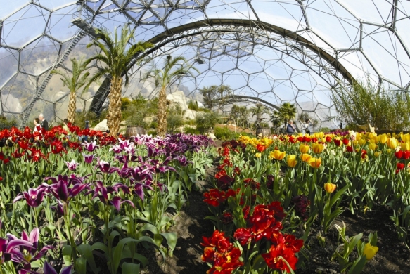 Tropical Style Weddings1