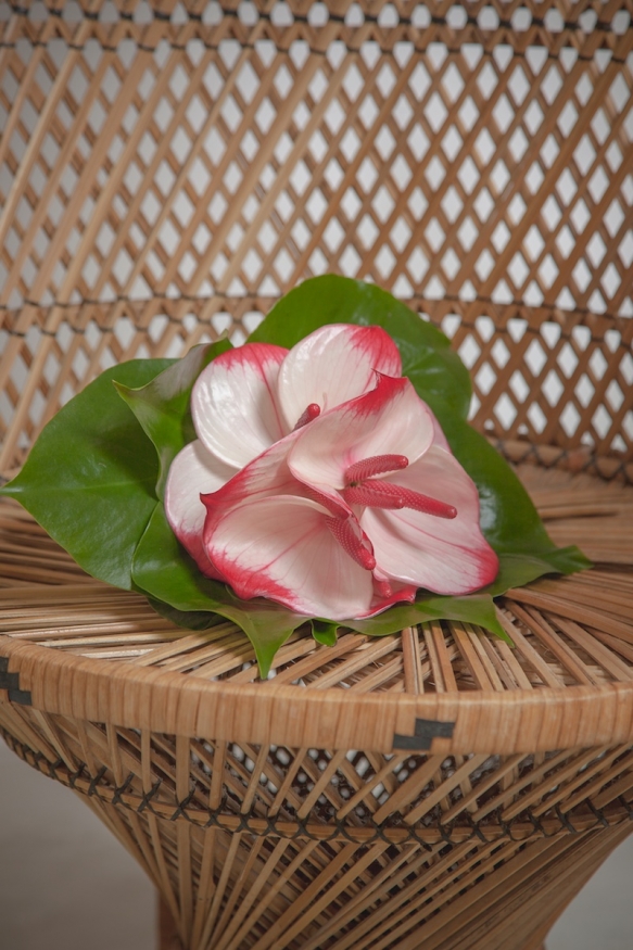 Tropical Style Weddings15