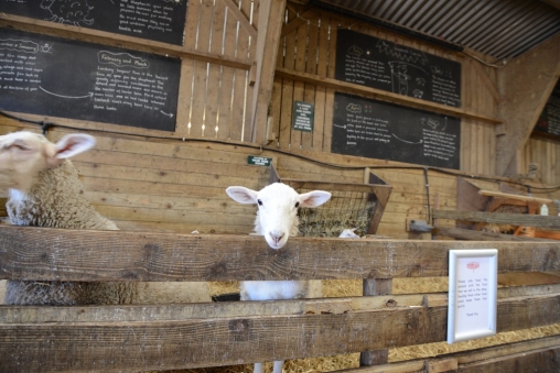 Unique Weddings Devon21