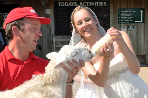 Unique Weddings Devon24