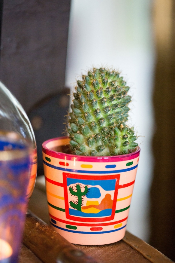 Venetianorrington Deerparkmexican 10