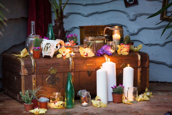 Venetianorrington Deerparkmexican 167