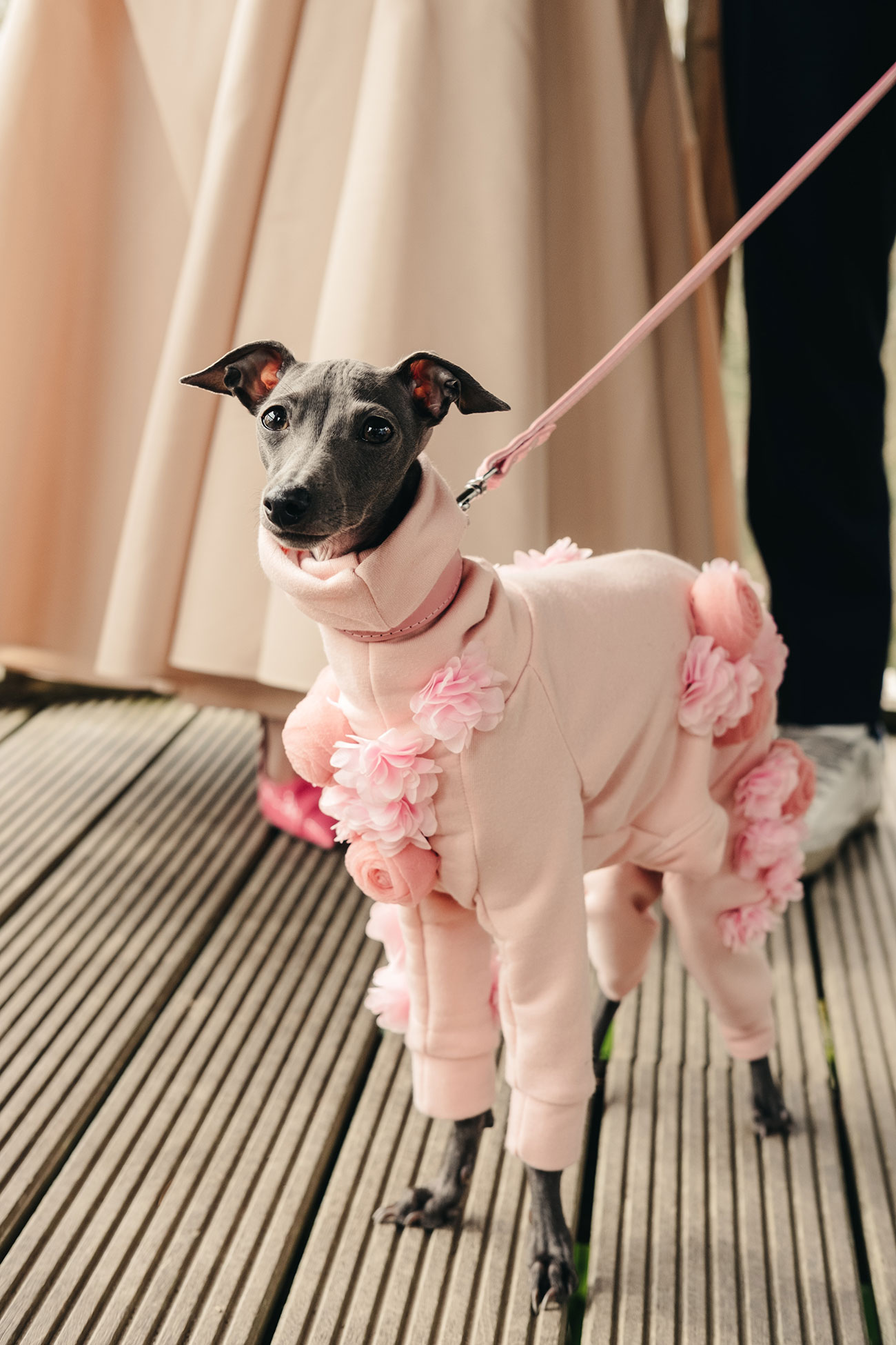 Verity Westcott Photography Elopements Cornwall Stories Real Weddings3