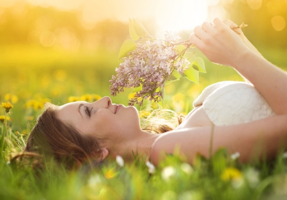 Wedding Advice Cornwall11