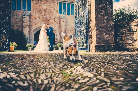 Wedding At Bickleigh Castle Devon12