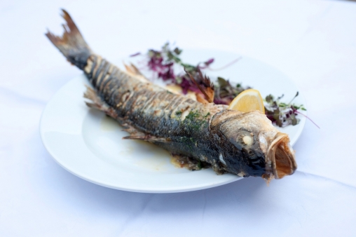 Wedding Catering Cornwall13