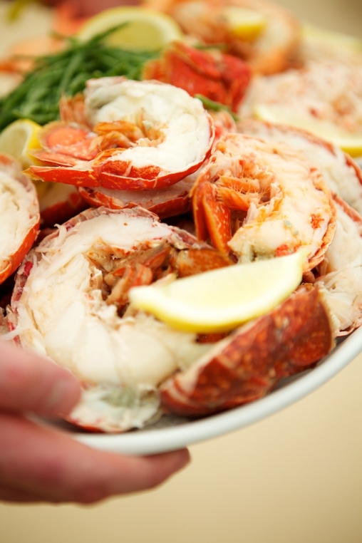 Wedding Catering Drinks Devon24