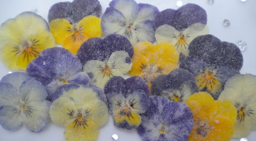 Wedding Catering Drinks Devon25