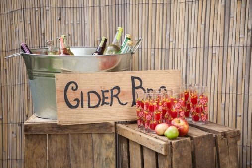 Wedding Drinks Cornwall3