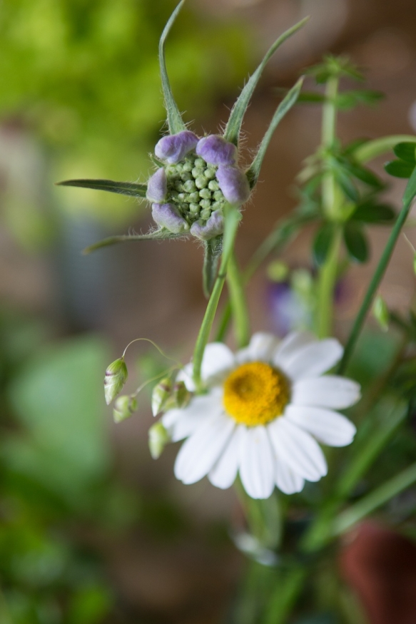 Wedding Flowers Country Wedding Cornwall20