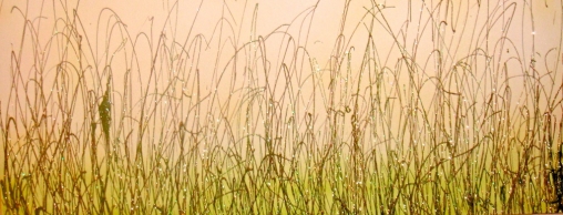 Wedding Gifts Cornwall Art8