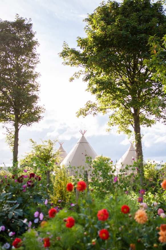 Wedding Marquee Cornwall4