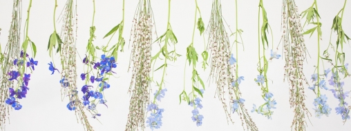 Wedding Style Dip Dye1