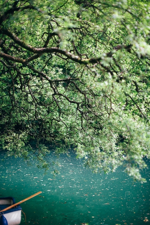 Wild West Wedding Ideas26