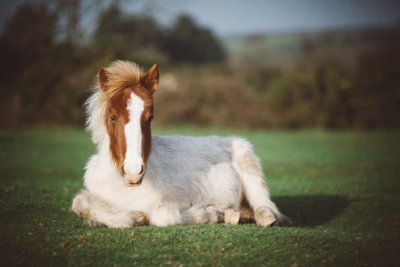 Winter Wedding Bodmin Jail1