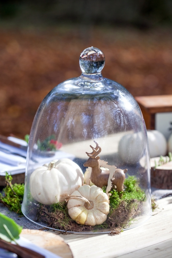 Woodland Weddings Devon4